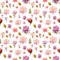 Seamless pattern Spring set beautiful flower, buds, leaves on white background Royalty Free Stock Photo